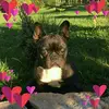 Barbaragould😜 - @barbaraa_220 - TikTok
