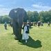 Barbara Gow - Facebook