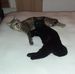 Barbara D Grady - Facebook