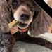 Barbara Grady - Facebook