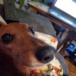Barbara Granger - @barbara.granger.988 - Instagram