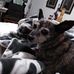Barbara Grantham - Facebook