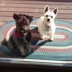 Barbara Grauman - Facebook