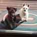 Barbara Grauman - Facebook