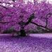 Barbara Gravely - Facebook