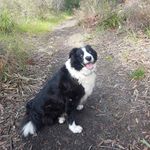 Barbara Greaves - @dragonflii_blue - Instagram