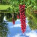 Barbara Greaves - Facebook
