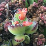 Barbara Greaves Konney - @barbarakonney - Instagram