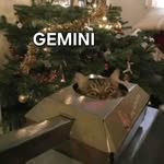 Barbara Greenbaum - @wtf80 - Instagram