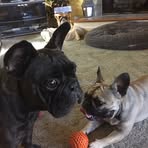 Barbara Greenman - Facebook