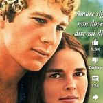 Barbara Greenstein - @bargreenstein1955 - Instagram