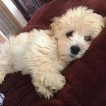 Barbara Gregerson - @barbaragregerson - Instagram
