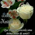 Bárbara Grego - @grego.barbara - Instagram