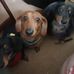 Barbara Gregson - Facebook