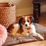 Barbara Greig - @barbara.greig101112 - Instagram