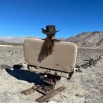 Barbara Greiner - @babs_luckylittlejranch - Instagram