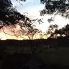 Barbara Greiner - @31034073709 - TikTok
