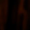 Barbara Graninger - @barbaragraninger - TikTok