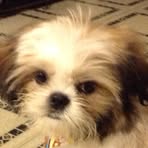 Barbara Jean Gresser - Facebook