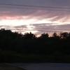 Barbara Gribble - @barbara.gribble - TikTok