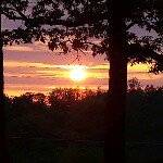 barbarale - @barbaragrider6229 - Instagram