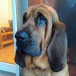 Barbara Grignon Baker - @barbaragrignonbaker - Instagram
