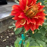 Barbara Seavey Grigsby - @seaveygrigsby - Instagram