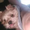 barbaragrigsby508 - @barbaragrigsby508 - TikTok