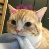 Barbara Grillo - @barbaragrillo22 - TikTok