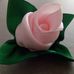 Barbara Grilli - Facebook