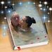 Barbara Grilli - Facebook