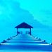 Barbara Grimsley - Facebook