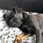 Barbara Grinter - @farmer_girl_96 - Instagram