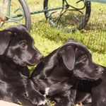 Barbara Grisham - @bagrish - Instagram