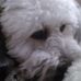 Barb Groce - Facebook