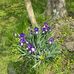 Barbara Grove - Facebook