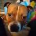 Barbara Groves - Facebook