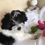 Barbara Grow - Facebook