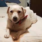 Barbara Guinn - @guinnbb11 - Instagram