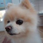 Barbara Guinn Templeton - @templetonbarbara - Instagram