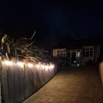 Barbara Gunning - @barbaragunning - Instagram
