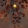 Barbara Gunning - @barbara.gunning - TikTok