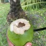 Barbara Guyton - @koulghio - Instagram