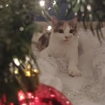 Barbara Guyton - Facebook