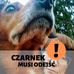 Barbara Guzek - Facebook