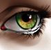 Barbara Haag - Facebook