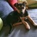 Barbara Haag - Facebook