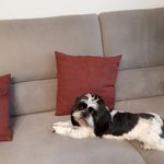 Barbara Haag - @barbarahaag560 - Instagram