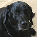 Barbara Haase - Facebook