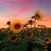 Barbara Haase - Facebook